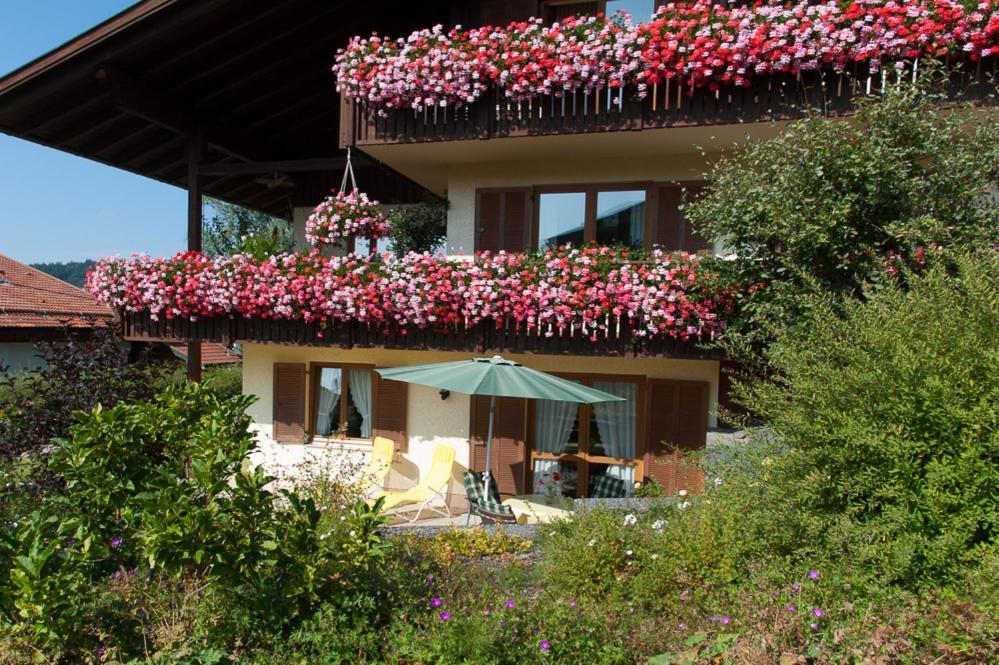 Petra Koller Apartment *
